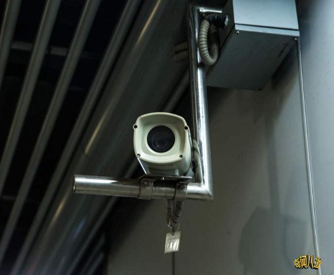 新澳精选资料免费提供，探索知识的宝库，新澳精选资料免费探索，知识的宝库大门敞开