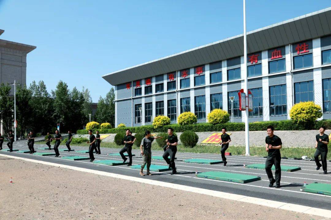 内蒙古训练基地的名称及其重要性,内蒙古训练基地名称及其重要性概述