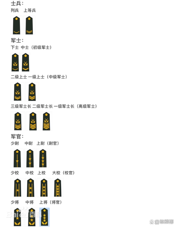 中国解放军职位排列及其职责概述，中国解放军职位排列及职责概览