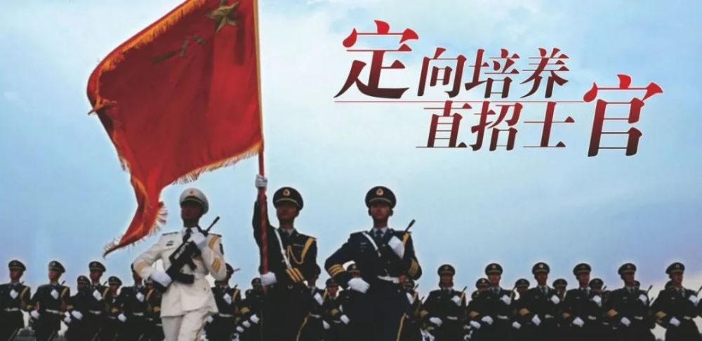 陆军杨弘宇的最新消息，荣耀与担当的展现，陆军杨弘宇展现荣耀与担当的最新消息