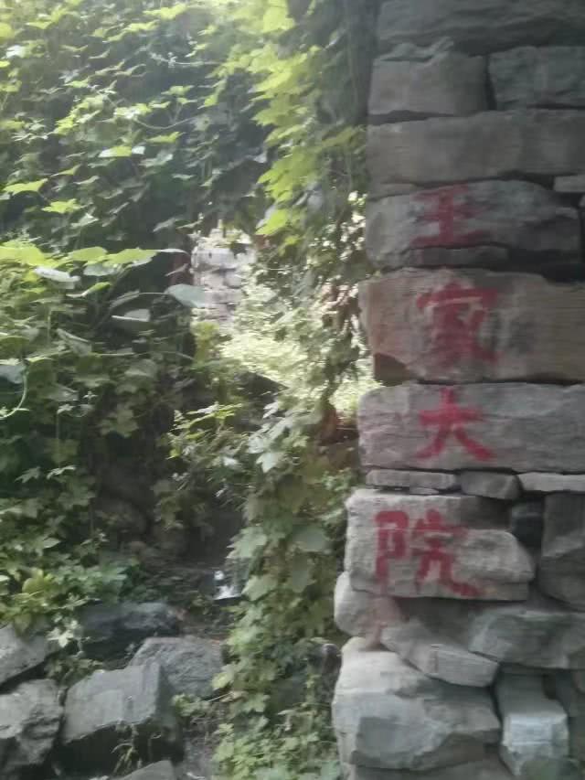 天涯论坛灵异故事，揭开神秘面纱下的惊悚世界，天涯论坛灵异故事，神秘面纱下的惊悚世界揭秘