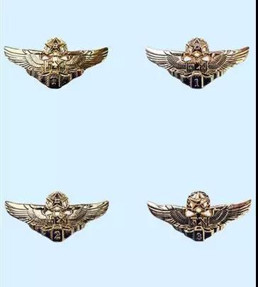 中国空军徽标,象征力量与荣耀的标志,中国空军徽标,力量与荣耀的象征