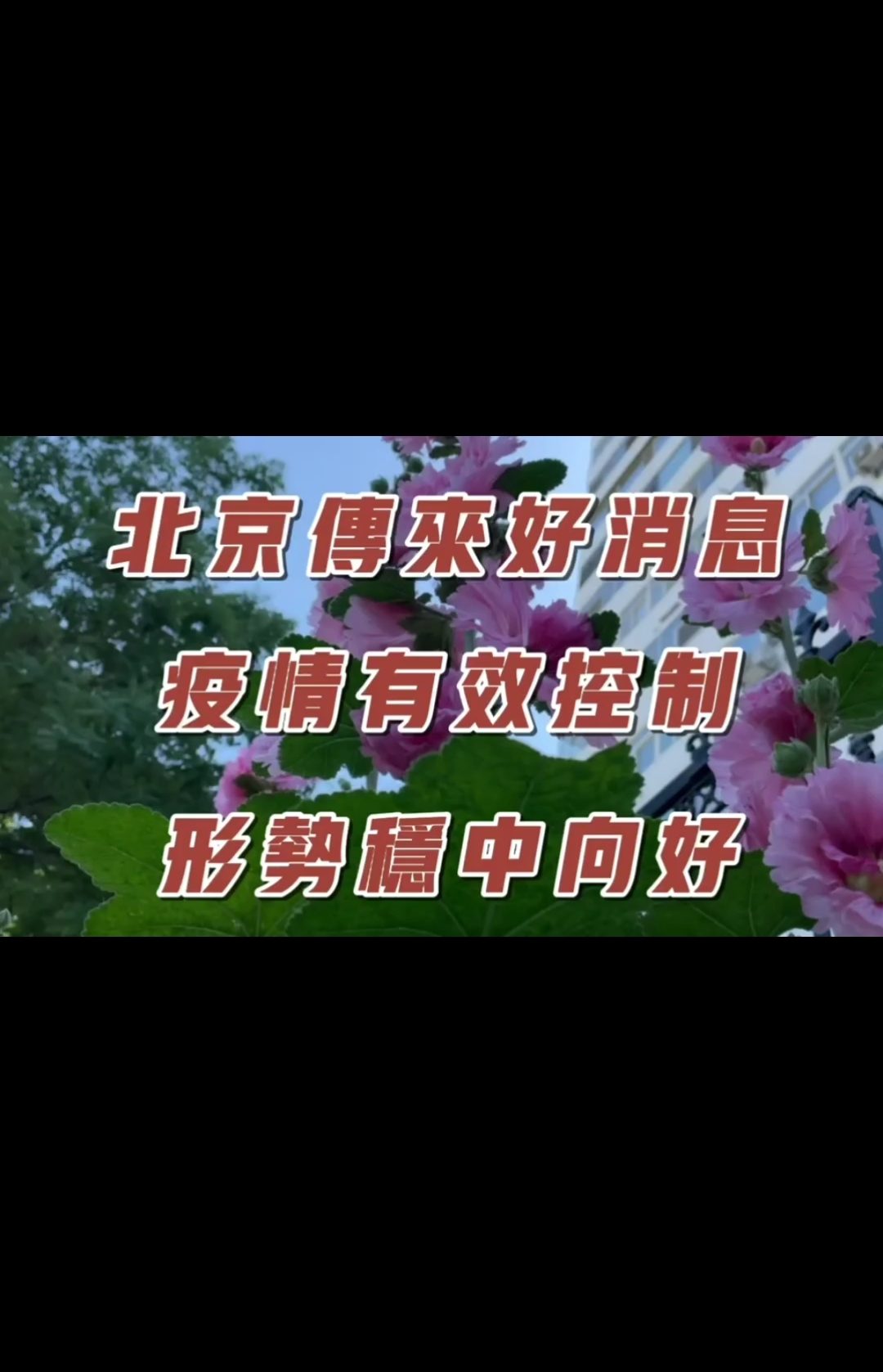 让我们乐观前行的好消息,乐观前行的积极消息,展望美好未来