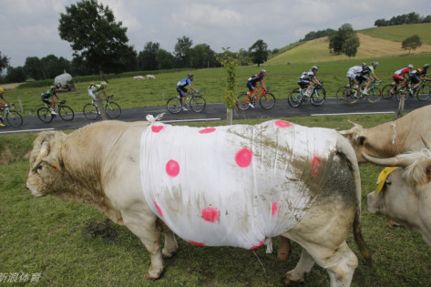 王中王四不像图中一肖,神秘符号背后的故事与解读,神秘符号背后的故事与解读,王中王四不像图中一肖探秘