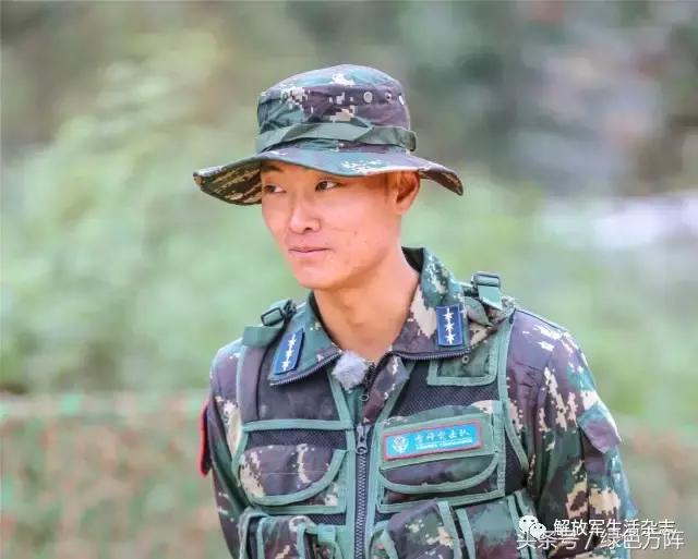 刘金沂追悼会直播，怀念与致敬的庄重仪式，刘金沂追悼会直播，怀念与致敬的庄重仪式，深切缅怀英雄人物