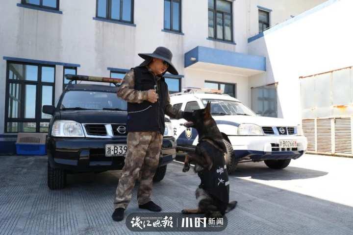 宁波部队一览表,宁波部队概览,一览表