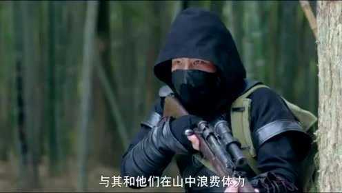 抗日之幽灵特种部队,英勇与智慧的象征,抗日幽灵特种部队,英勇智慧之象征