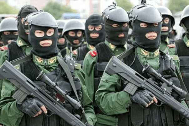 中国特种部队全副武装图片,揭示现代化军事力量的风采,中国特种部队全副武装展示现代化军事力量风采图片曝光