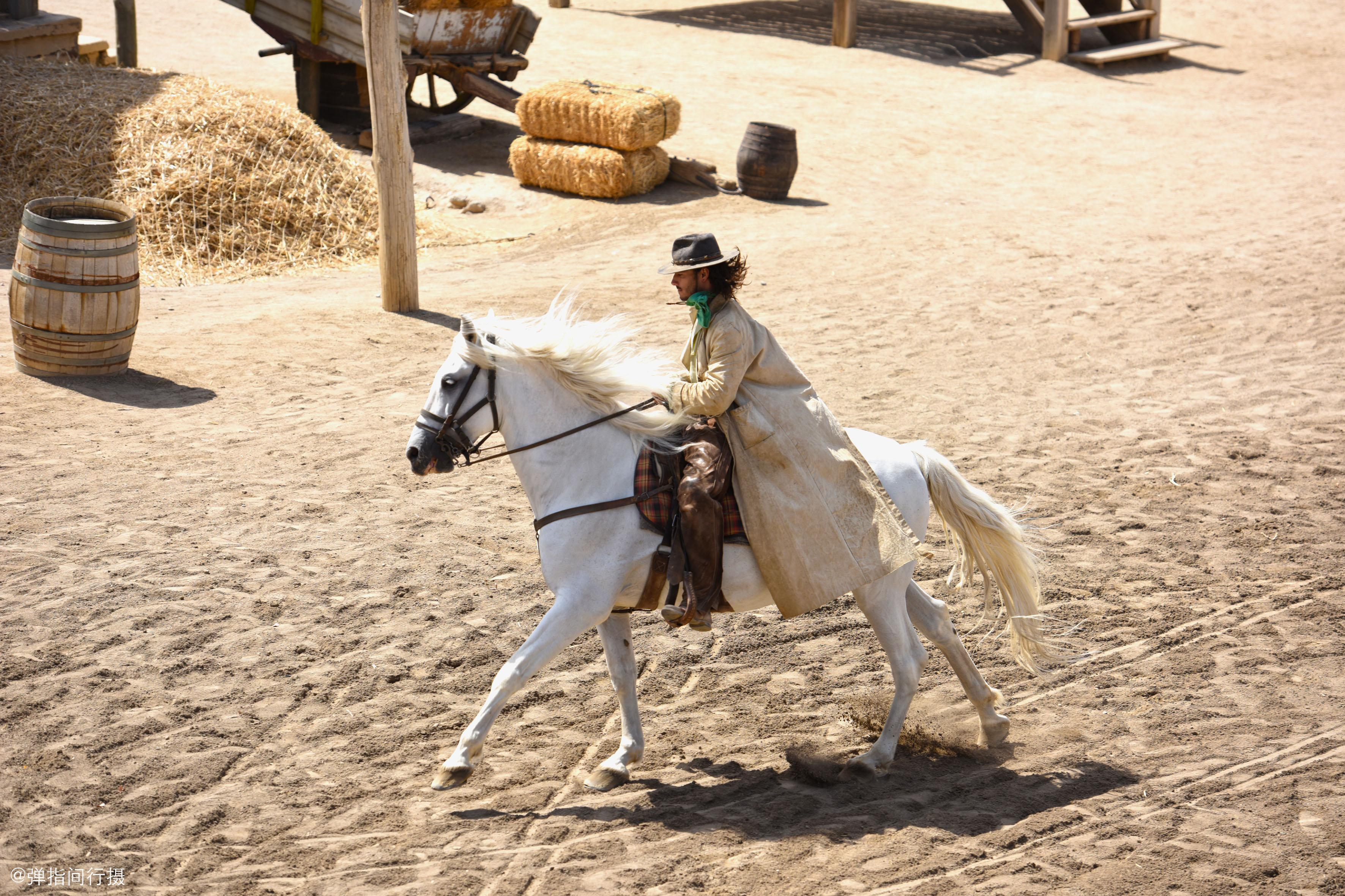 美国西部电影百部精选,历史、冒险与传奇的璀璨篇章,美国西部电影百部精选,历史冒险与传奇的辉煌篇章