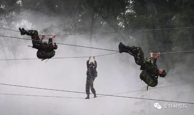 蛟龙突击队队训，磨砺意志，锻造精英，蛟龙突击队，磨砺意志，锻造精英队训之道