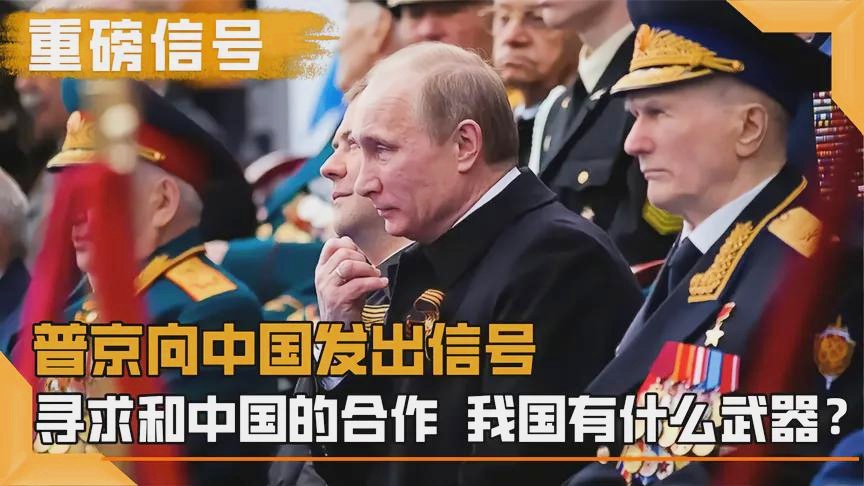 普京向中国发出的信号,深化合作与共同发展的强烈愿景,普京向中国传递深化合作与共同发展强烈愿景的信号