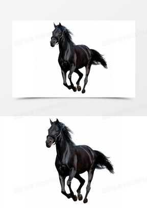 澳门四不像图正版资料大全下载，探索与解析，澳门四不像图正版资料大全，探索与解析下载指南