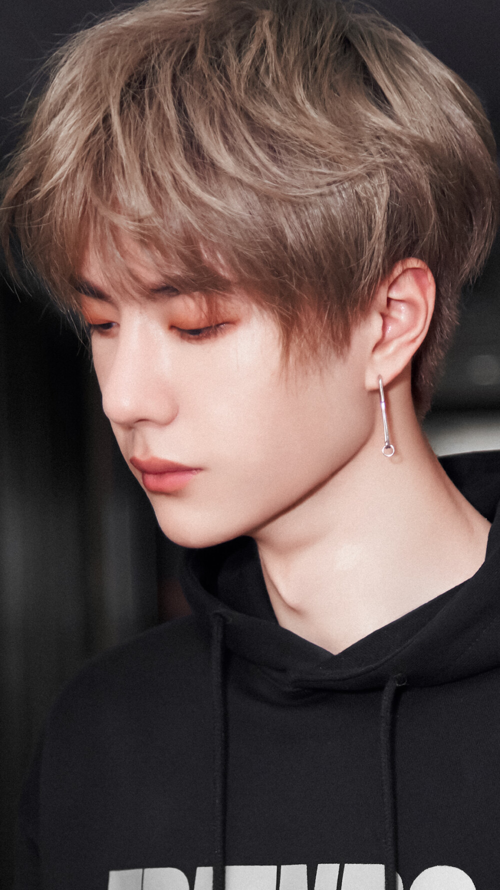 王中王一肖中特亓，探索与解读，探索与解读，王中王一肖中特亓的独特之处