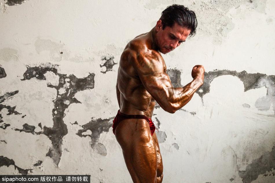 王中王四不像中一肖,探索神秘现象背后的真相,揭开神秘面纱,王中王四不像中的真相探索