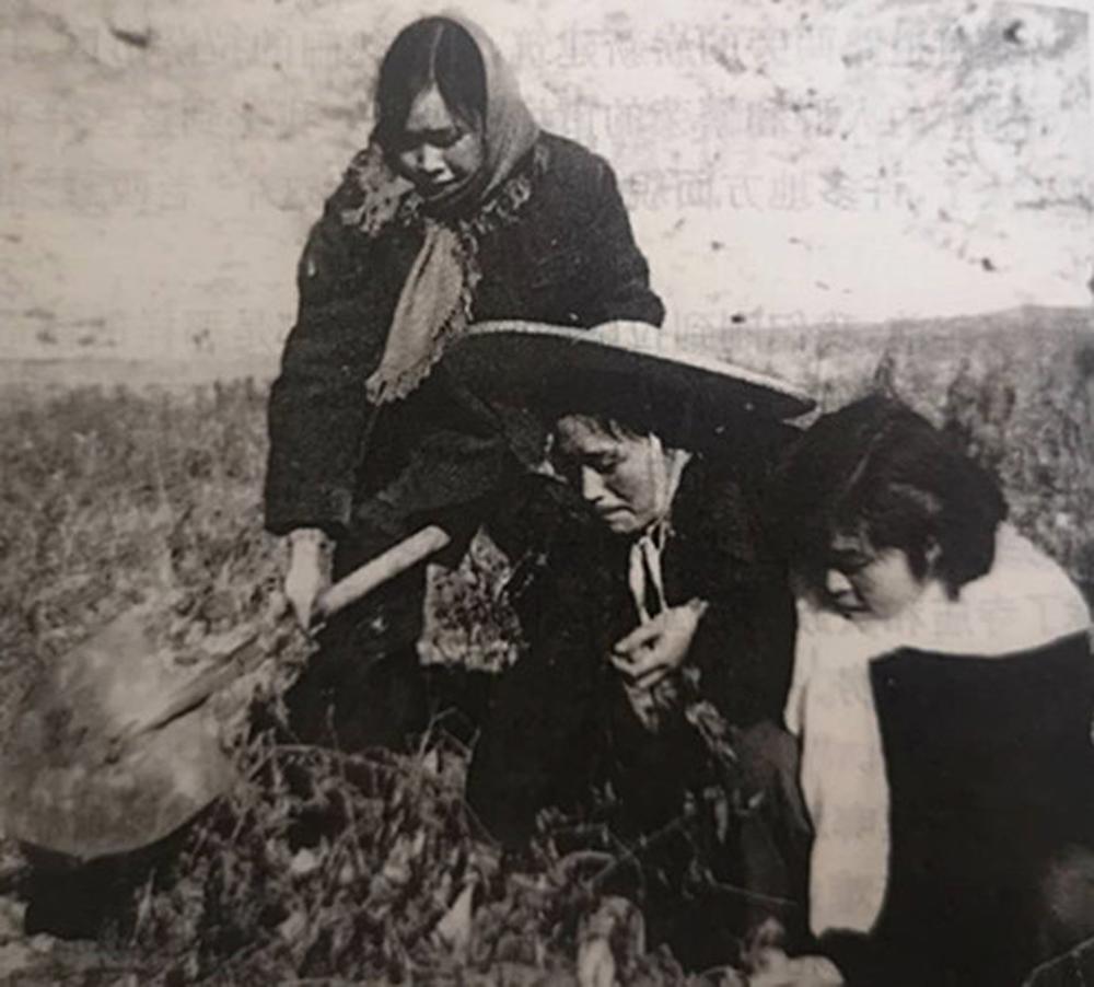 军事新闻解读,深度剖析当今军事形势与未来趋势,深度解读军事新闻,当今军事形势展望与未来趋势预测