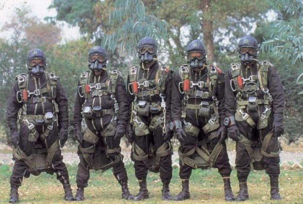 陆军有空降兵吗?——探究现代陆军中的空降力量,现代陆军中的空降力量,陆军空降兵的存在与角色探究