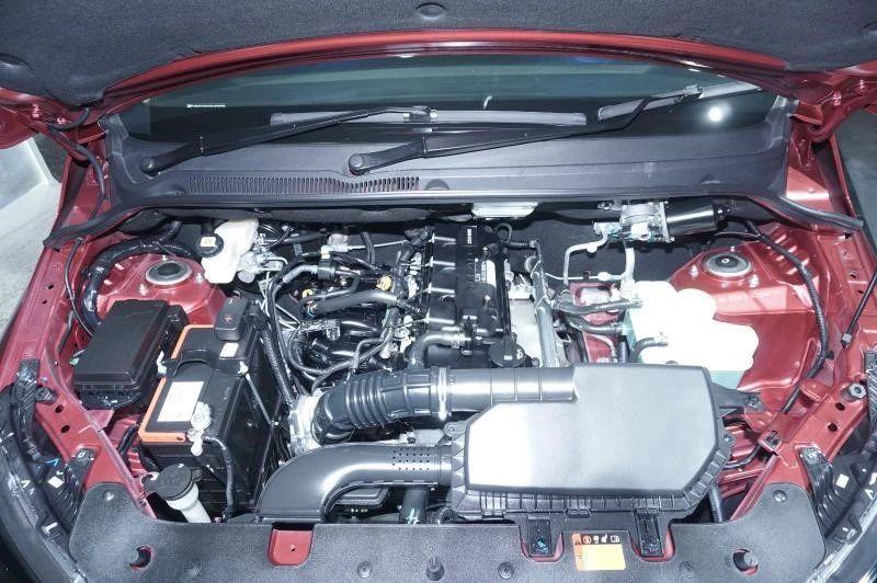 四肖期期准一王中王——探寻精准预测的魅力与背后的秘密，四肖期期准一王中王，揭秘精准预测背后的秘密与魅力