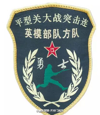 揭秘21集团军雪枫特战旅臂章,荣耀与使命的象征,揭秘雪枫特战旅臂章,荣耀与使命的象征,探寻背后的故事