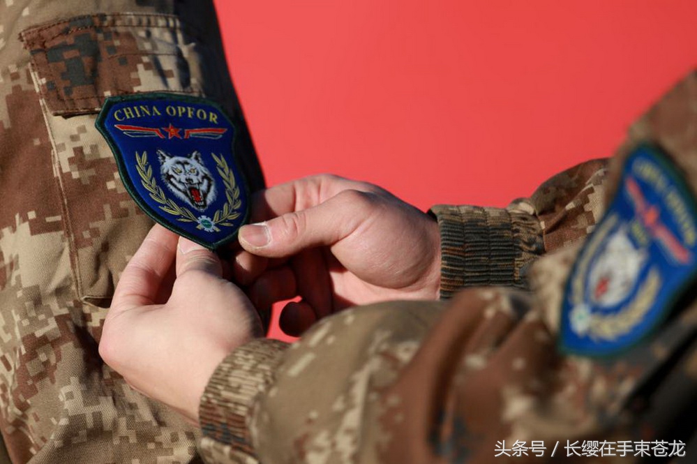 揭秘21集团军雪枫特战旅臂章,荣耀与使命的象征,揭秘雪枫特战旅臂章,荣耀与使命的象征,探寻背后的故事