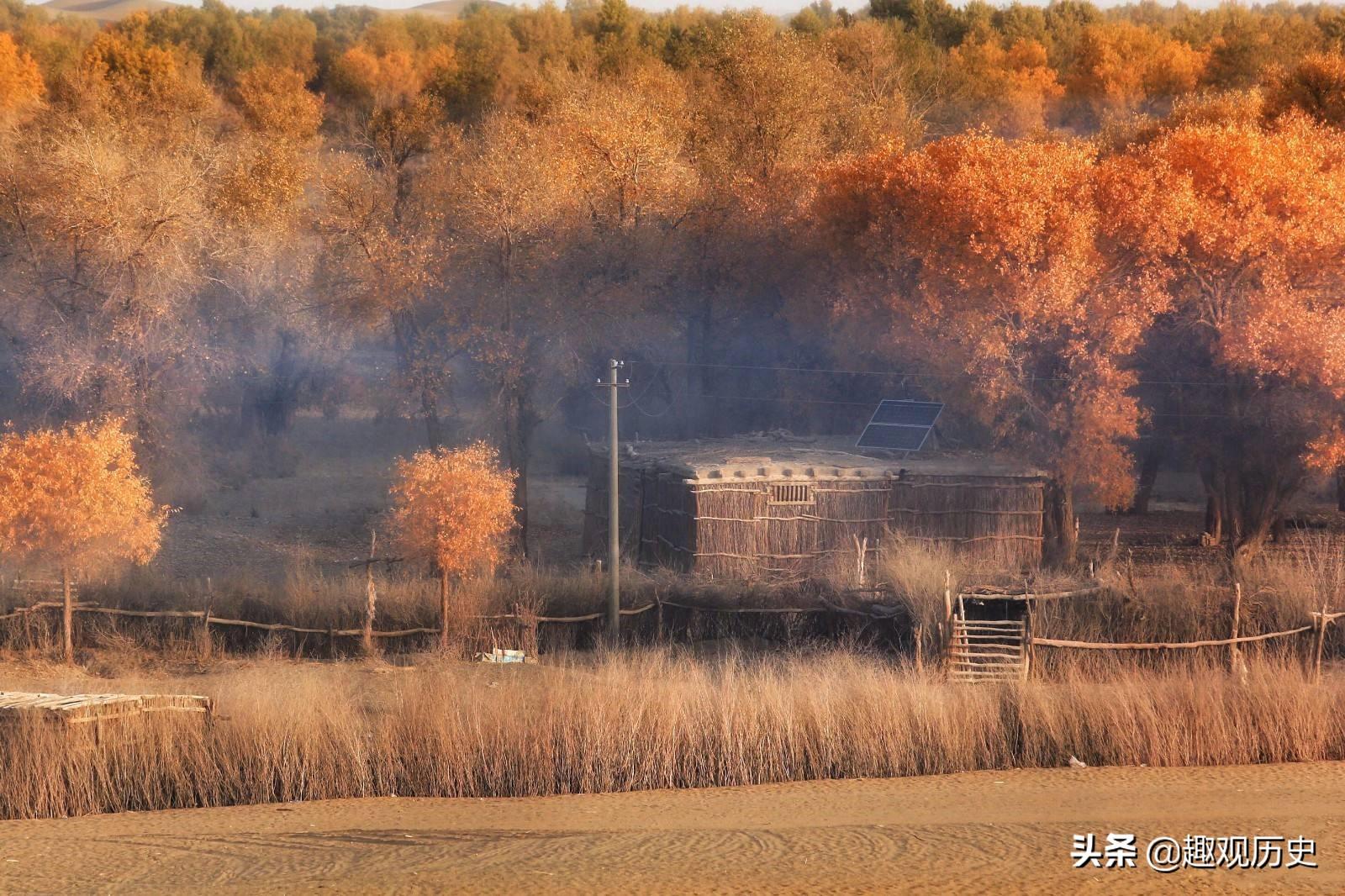 彩票背后的故事揭秘