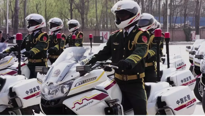 国宾护卫队与铁骑,荣耀与力量的象征,国宾护卫队与铁骑,荣耀与力量的独特象征