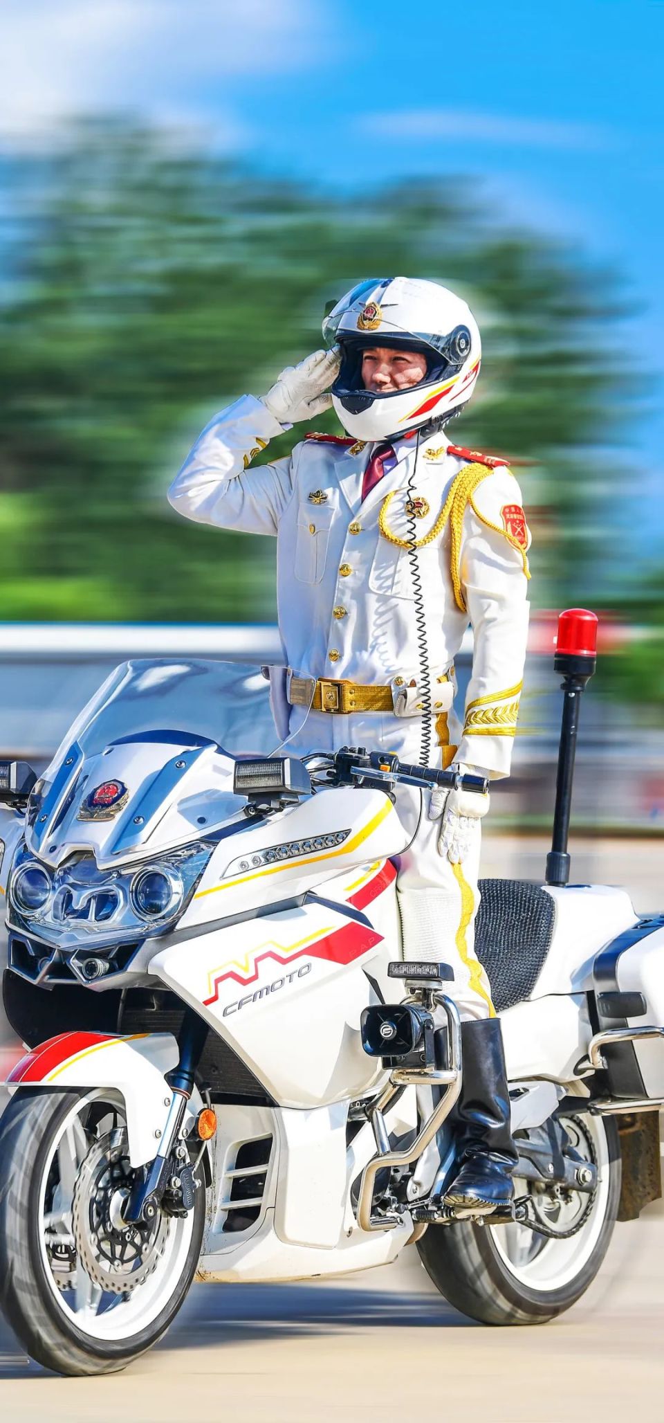 国宾护卫队与铁骑,荣耀与力量的象征,国宾护卫队与铁骑,荣耀与力量的独特象征