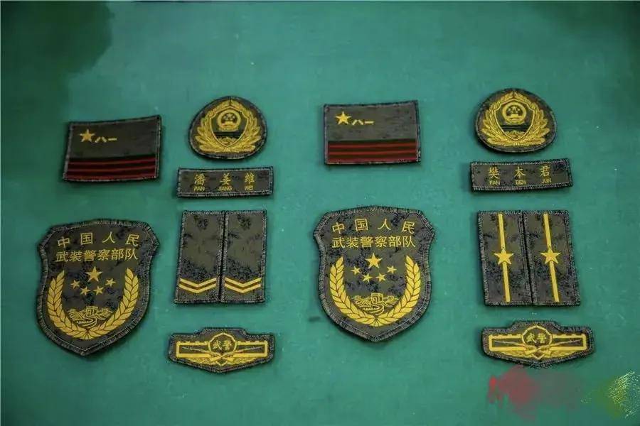 探索新时代下的军魂——关于21式武警部队帽徽的解读与解析,解读新时代军魂,深入解析21式武警部队帽徽背后的意义