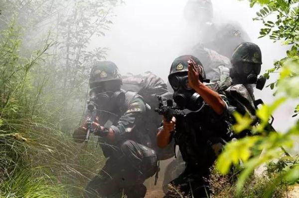 刘金沂的军衔,荣耀与职责的象征,刘金沂的军衔,荣耀职责的象征