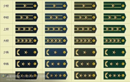 荣耀的象征与时代的印记