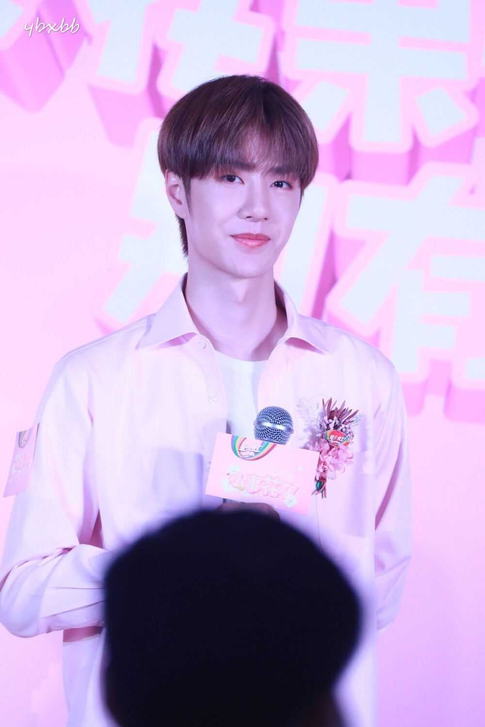 WW香港王中王一肖中特，探索与解读，WW香港王中王一肖中特，深度探索与解读