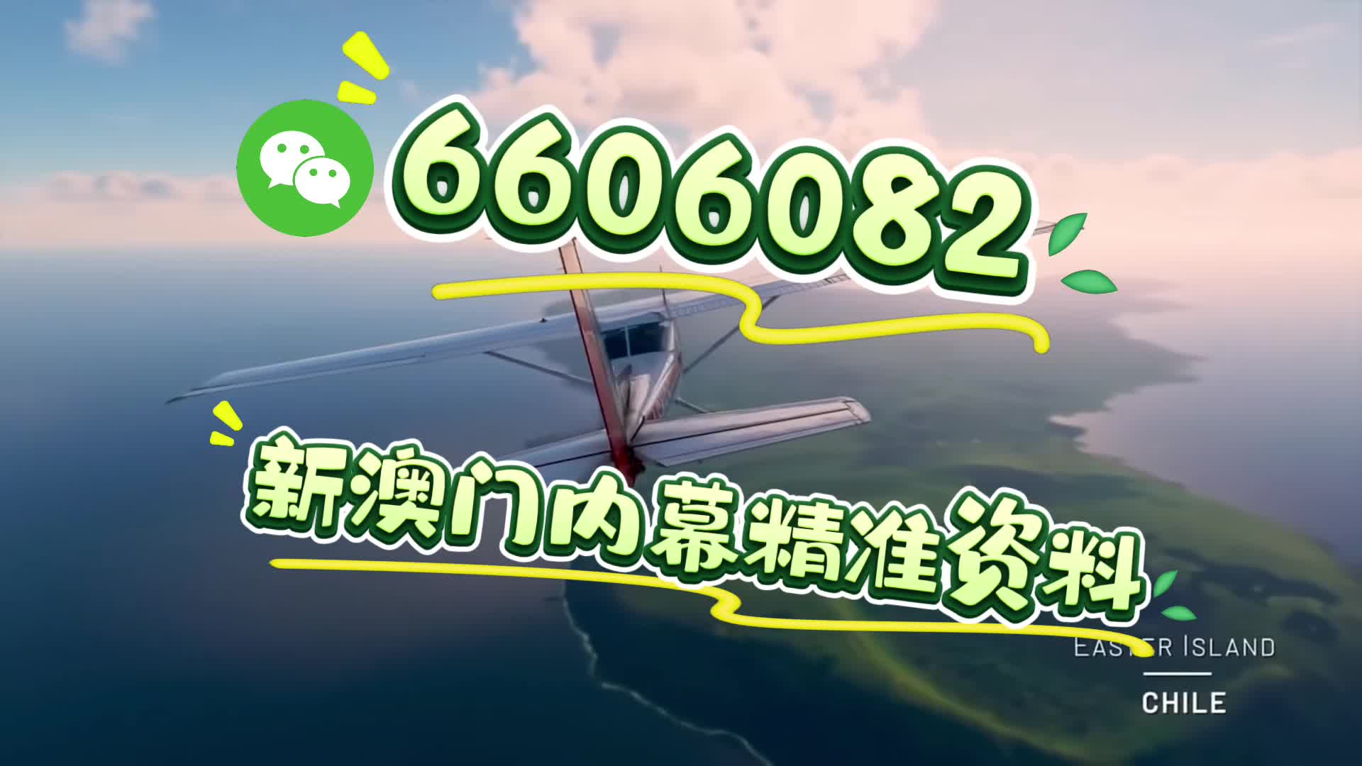 新澳门精准四肖期期准,探索与解析,澳门精准四肖期期探索与解析指南