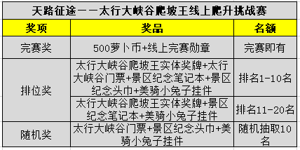 八一勋章奖励项目的荣耀与意义,八一勋章,荣耀与意义的彰显