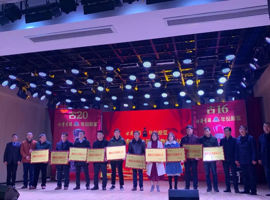 桐城今日瞩目,刚刚发生的重大新闻,桐城瞩目,最新重大新闻发布