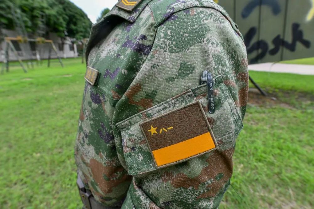 购买指南与建议