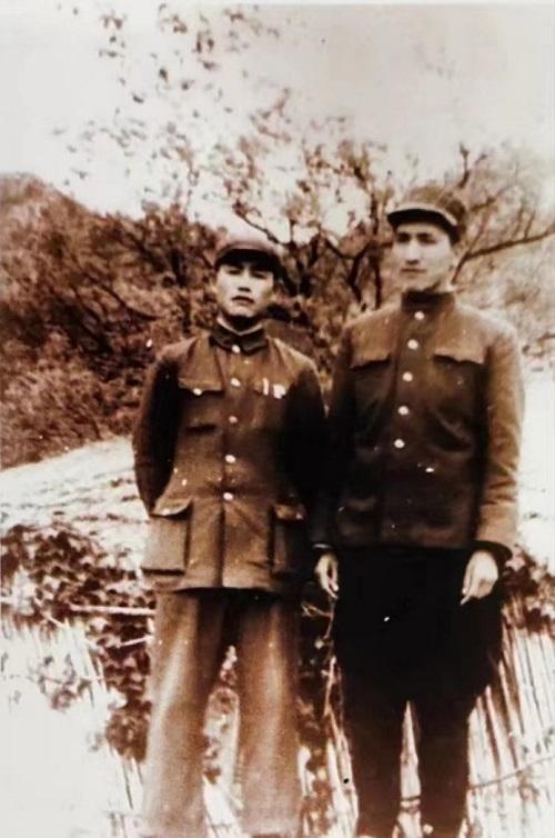 一个军长有几个副军长，军队架构与职务分配探讨，军队架构与职务分配探讨，一个军长手下副军长的数量解析