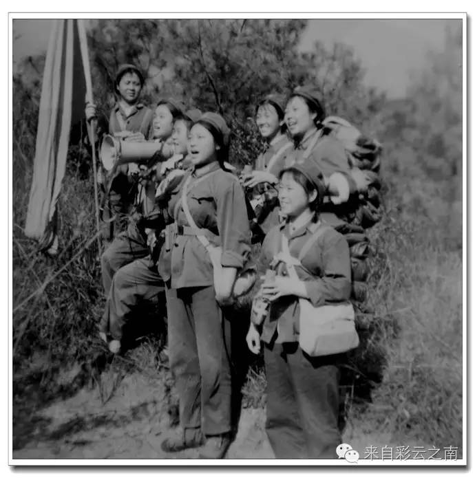 丛林女兵,揭示女性力量的国语影视佳作免费赏析,丛林女兵,女性力量的影视佳作免费赏析