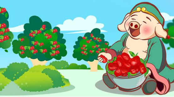 一箭20星与生肖动物,探索星空下的神秘联系,一箭20星与生肖动物,星空下的神秘联系探索