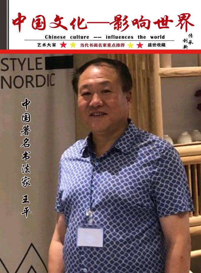 王中王平一肖中特的探索与启示，王中王平一肖中特的探索之路，启示与展望