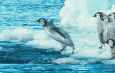 雅克13,探寻神秘数字背后的故事,雅克13,神秘数字背后的故事探寻