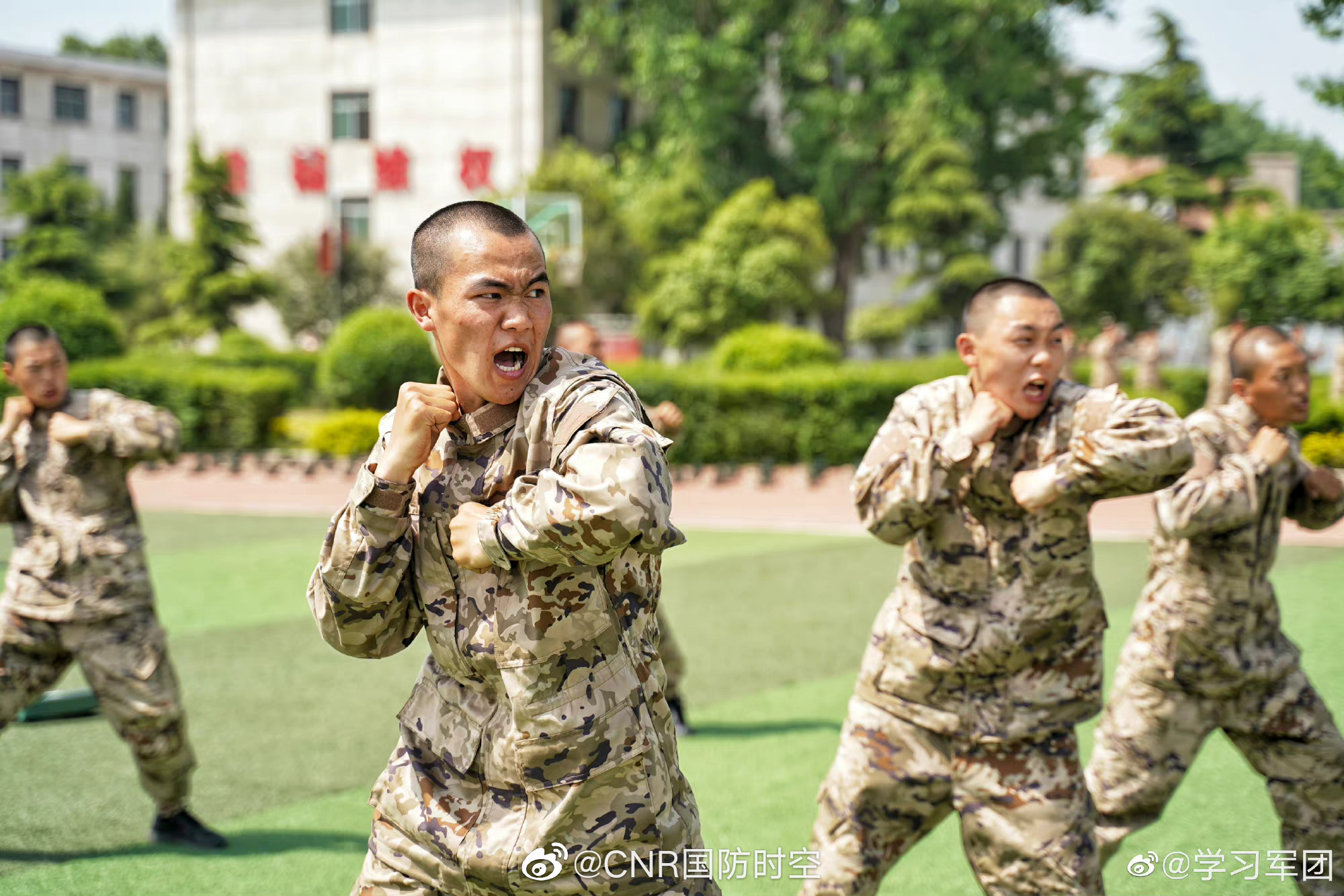 新兵训练视频,磨炼意志,锻造未来战士,新兵训练视频,锻造意志,塑造未来战士之路