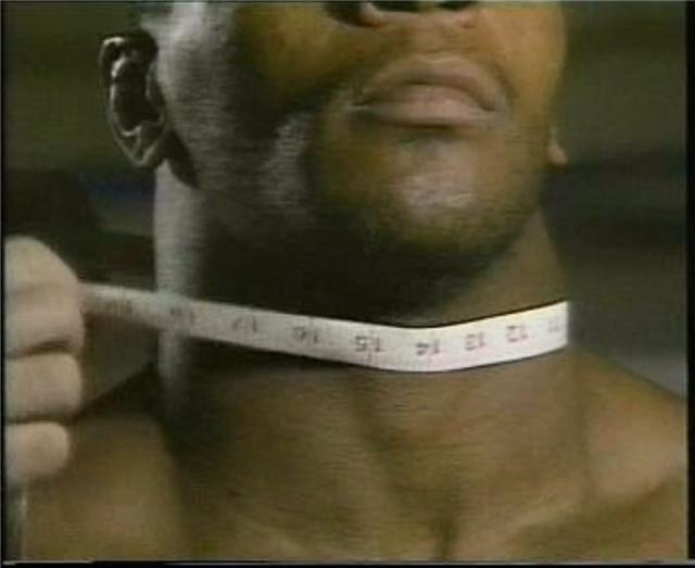 王中王44期指一生肖——探寻背后的神秘与魅力，王中王44期生肖探寻，背后的神秘魅力揭秘