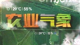 CCTV7军事农业频道节目表解析,CCTV7军事农业频道节目表深度解析