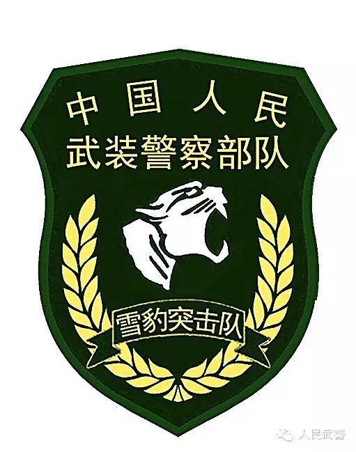 中国武警特战臂章,荣耀与责任的象征,中国武警特战臂章,荣耀与责任的独特标志