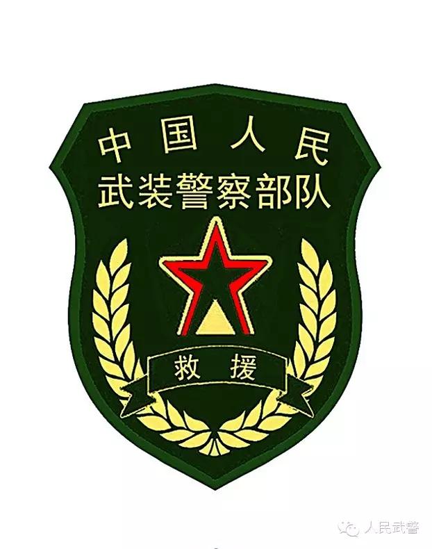 中国武警特战臂章,荣耀与责任的象征,中国武警特战臂章,荣耀与责任的独特标志