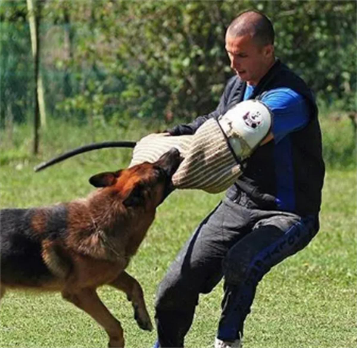 美国调查最新消息，揭示隐藏在数据背后的真相，美国最新调查揭示数据背后的真相揭秘隐藏真相的真相探索报告
