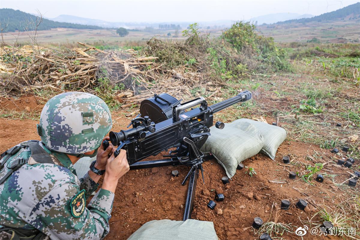 揭秘中国陆军第38集团军火力配置,现代化武器装备的坚实力量,揭秘中国陆军第38集团军火力配置,现代化武器装备的强悍战力