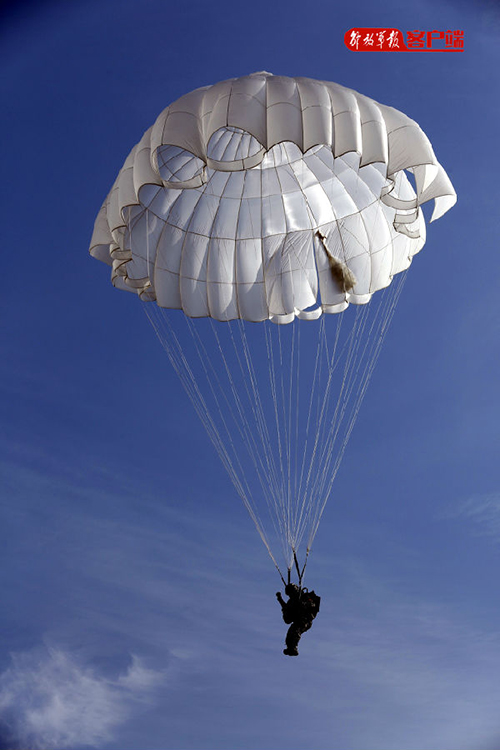 我国空降兵所属兵种深度解析,我国空降兵兵种深度解析与特点探究