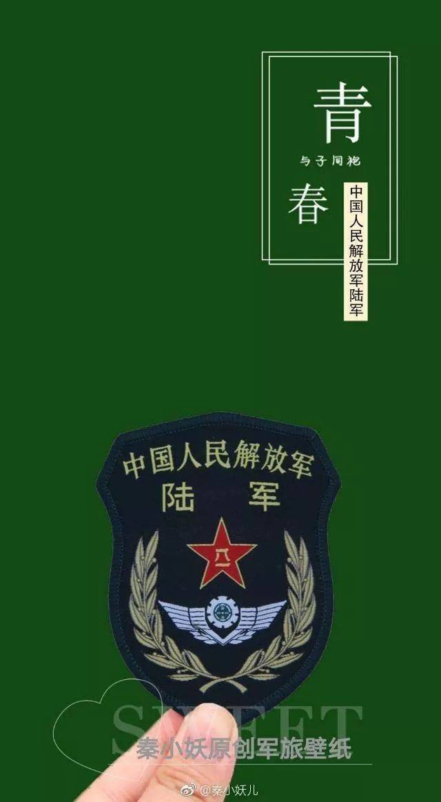 军旅主题图片大全集,荣耀与牺牲的象征,军旅主题图片集,荣耀与牺牲的永恒象征