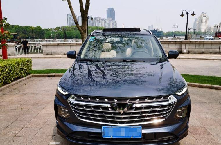 共和国勋章与子女的待遇，荣誉背后的责任与关怀，共和国勋章与子女待遇，荣誉背后的责任与温情关怀