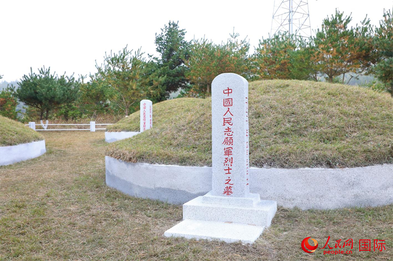 朝鲜志愿军烈士陵园——永恒的敬仰与缅怀,朝鲜志愿军烈士陵园,永恒的敬仰与缅怀之地